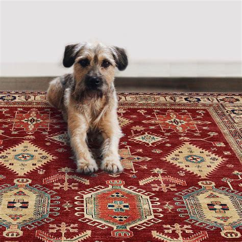 Best rugs for dogs. Things To Know About Best rugs for dogs. 